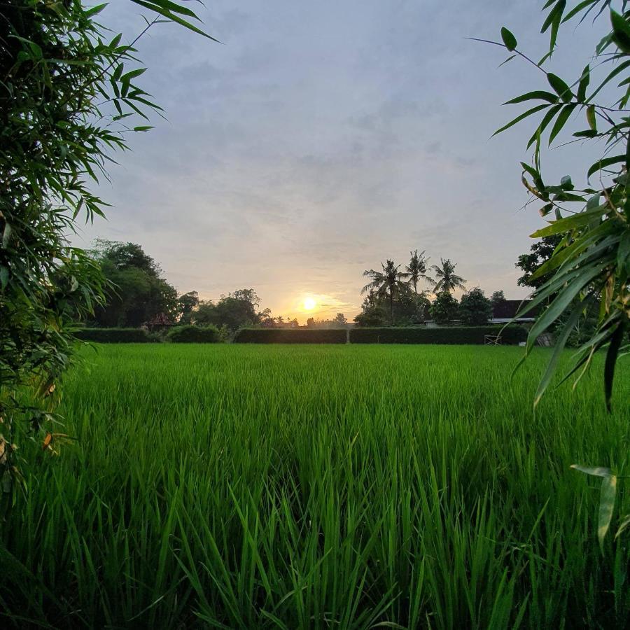 Yabbiekayu Eco-Bungalows Yogyakarta Esterno foto